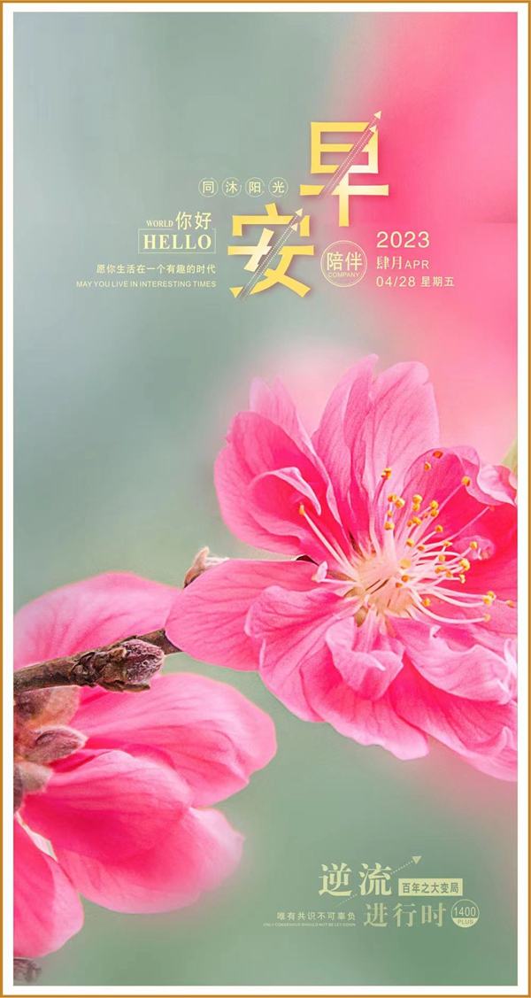 微信图片_20230428094227.jpg
